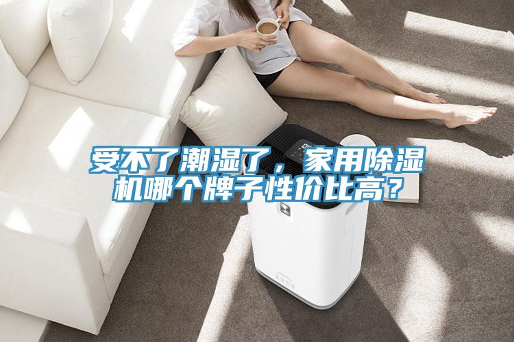 受不了潮濕了，家用除濕機哪個牌子性價比高？
