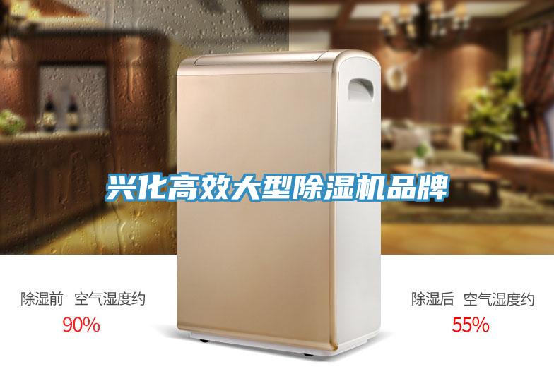 興化高效大型除濕機品牌