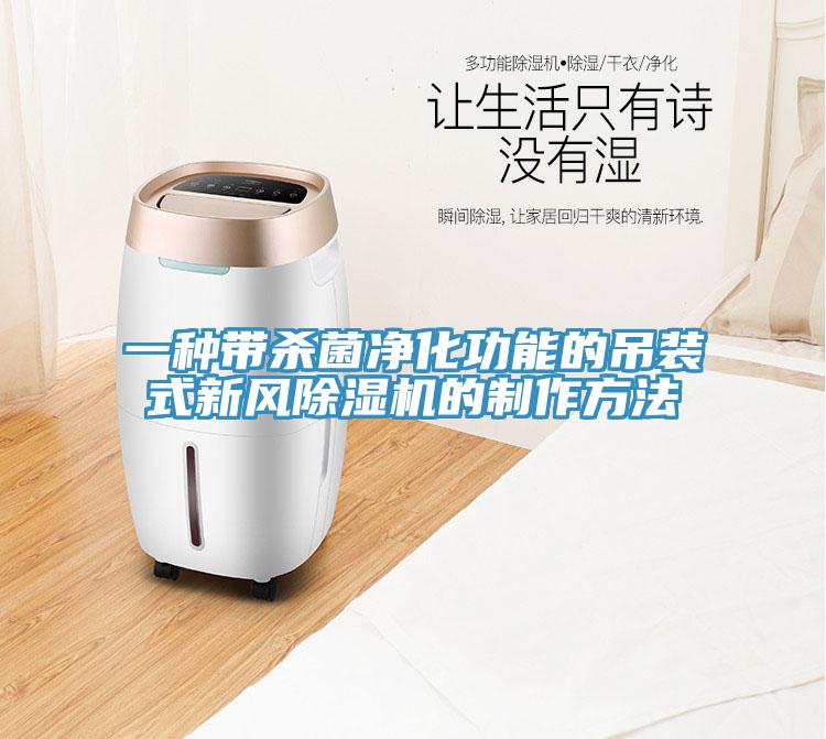 一種帶殺菌凈化功能的吊裝式新風除濕機的制作方法