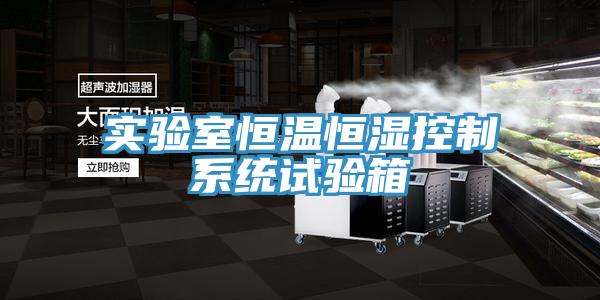 實驗室恒溫恒濕控制系統試驗箱