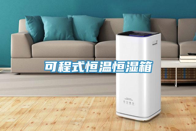 可程式恒溫恒濕箱