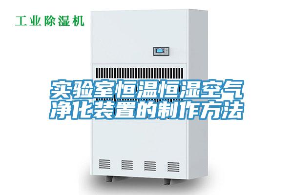 實驗室恒溫恒濕空氣凈化裝置的制作方法