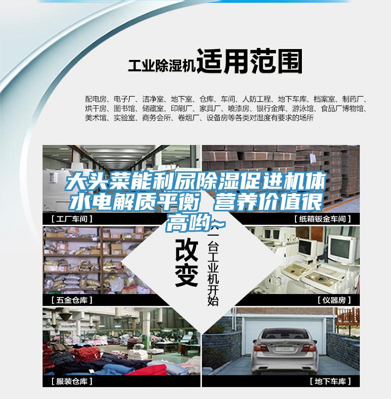 大頭菜能利尿除濕促進機體水電解質平衡 營養價值很高喲~