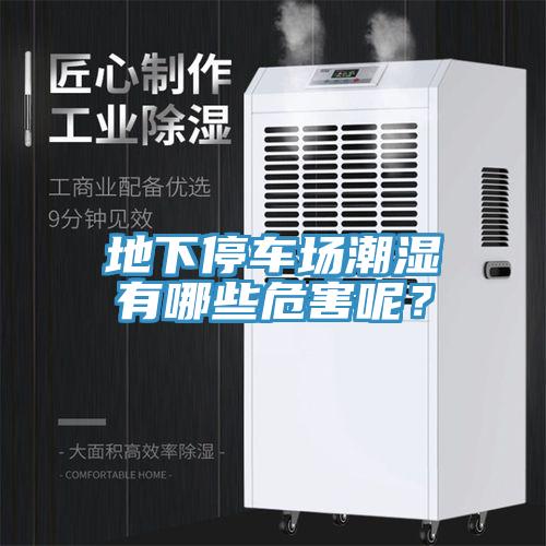 地下停車場潮濕有哪些危害呢？