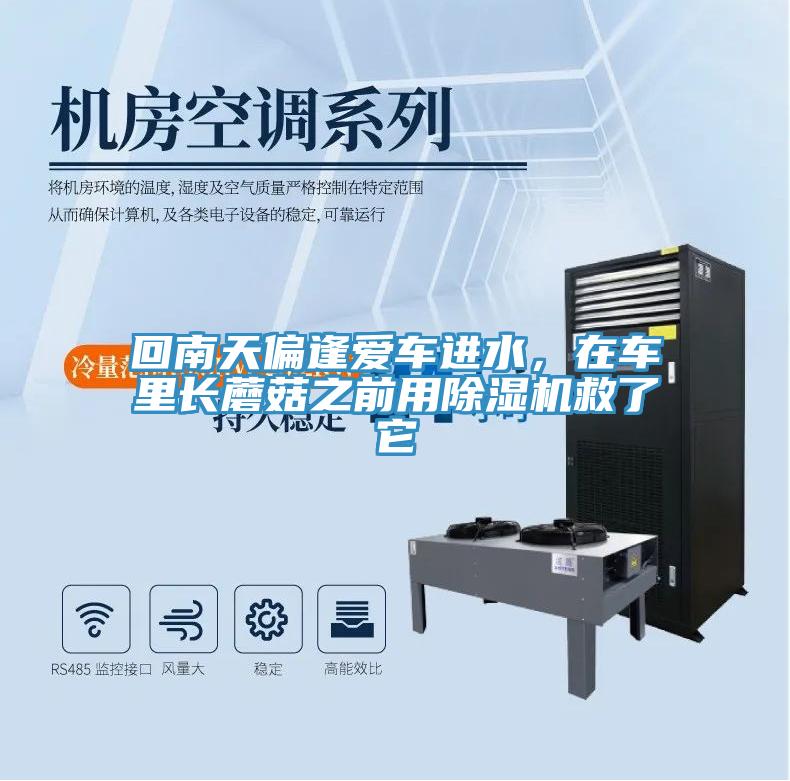 回南天偏逢愛車進水，在車里長蘑菇之前用除濕機救了它