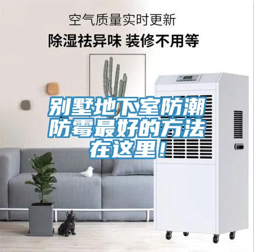別墅地下室防潮防霉最好的方法在這里！