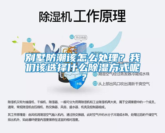 別墅防潮該怎么處理？我們該選擇什么除濕方式呢？