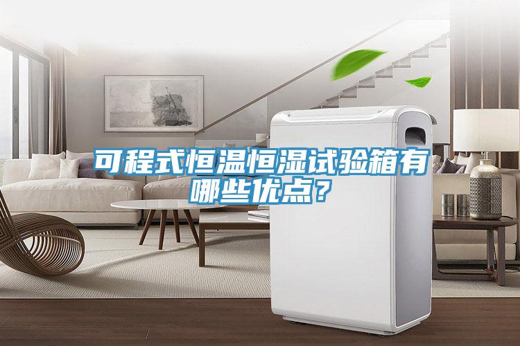 可程式恒溫恒濕試驗箱有哪些優點？