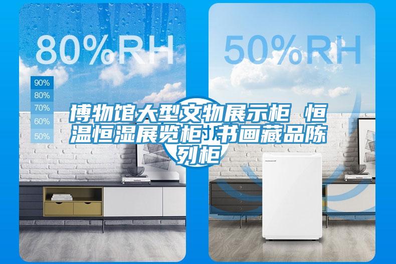 博物館大型文物展示柜 恒溫恒濕展覽柜 書畫藏品陳列柜