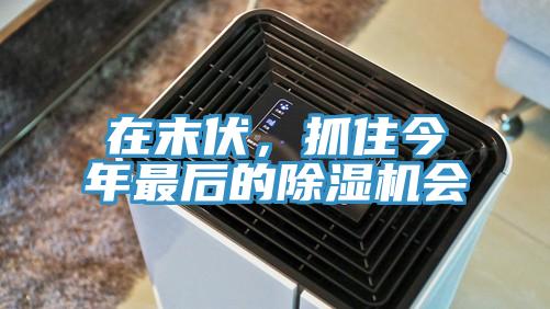 在末伏，抓住今年最后的除濕機會
