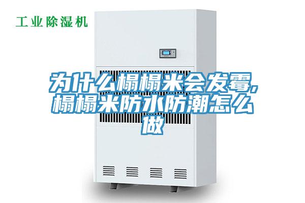為什么榻榻米會發霉,榻榻米防水防潮怎么做