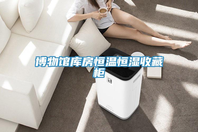 博物館庫房恒溫恒濕收藏柜