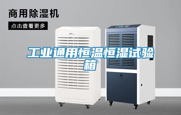 工業通用恒溫恒濕試驗箱