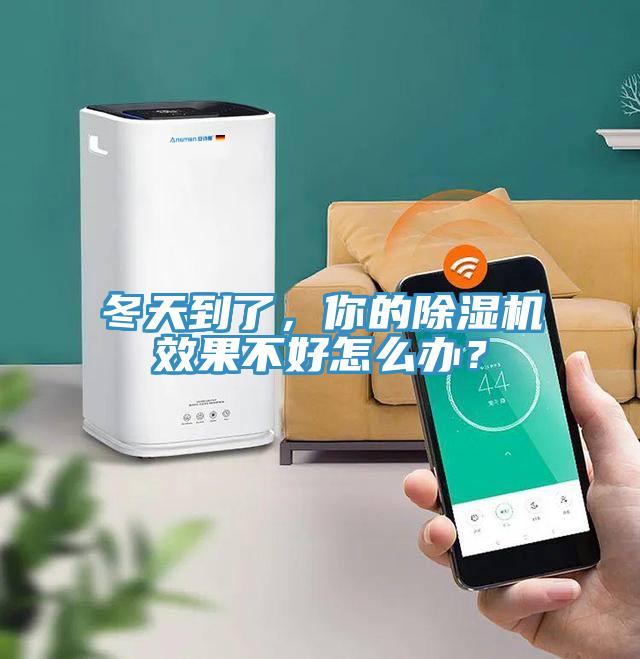 冬天到了，你的除濕機效果不好怎么辦？