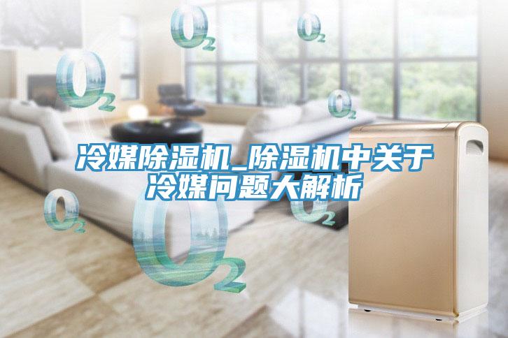 冷媒除濕機_除濕機中關于冷媒問題大解析
