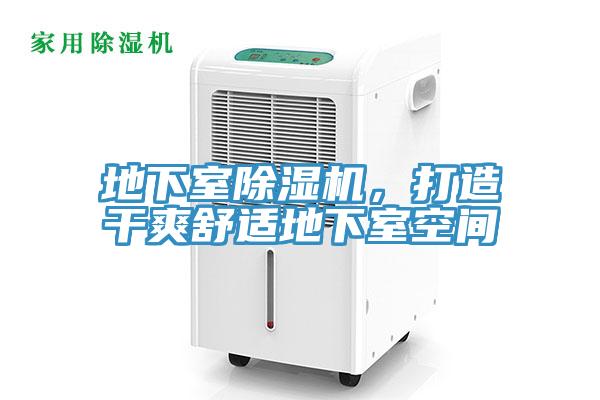 地下室除濕機，打造干爽舒適地下室空間
