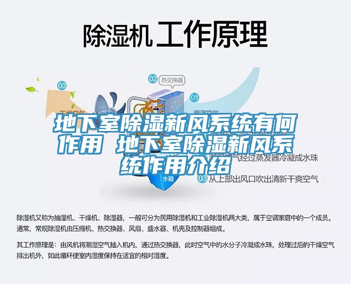 地下室除濕新風系統有何作用 地下室除濕新風系統作用介紹