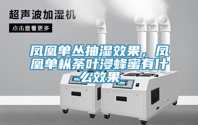 鳳凰單叢抽濕效果，鳳凰單樅荼葉浸蜂蜜有什么效果