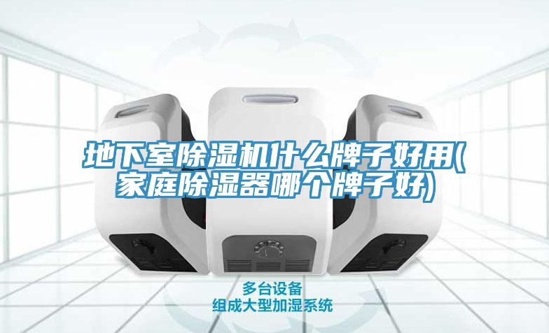 地下室除濕機什么牌子好用(家庭除濕器哪個牌子好)