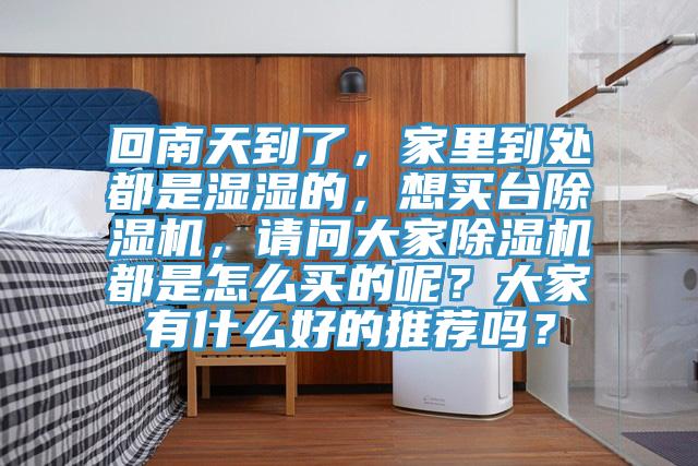 回南天到了，家里到處都是濕濕的，想買臺除濕機，請問大家除濕機都是怎么買的呢？大家有什么好的推薦嗎？