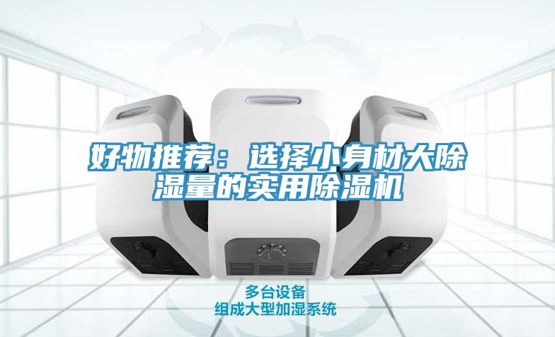 好物推薦：選擇小身材大除濕量的實用除濕機