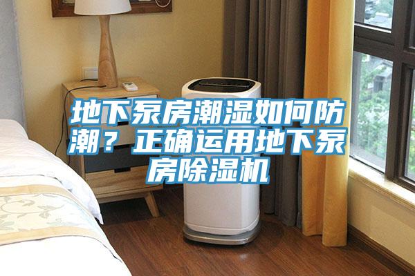 地下泵房潮濕如何防潮？正確運用地下泵房除濕機