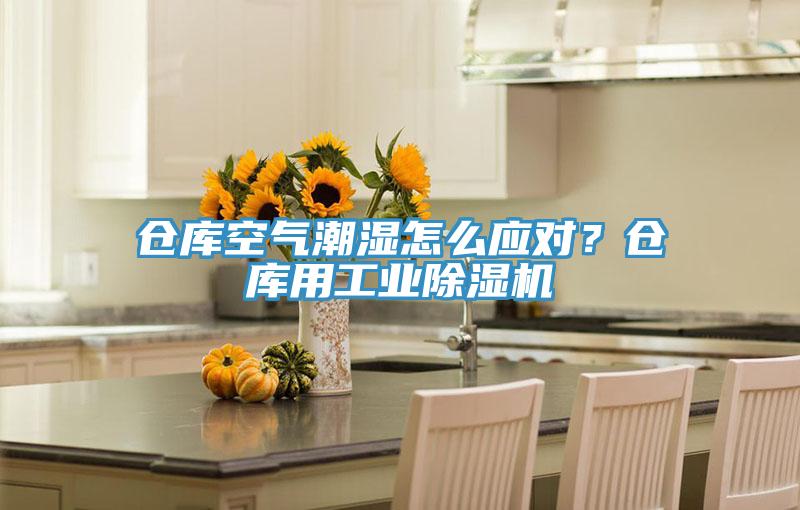 倉庫空氣潮濕怎么應對？倉庫用工業除濕機