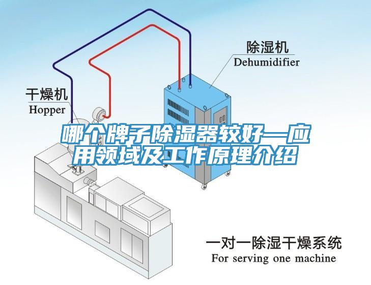哪個牌子除濕器較好—應用領域及工作原理介紹