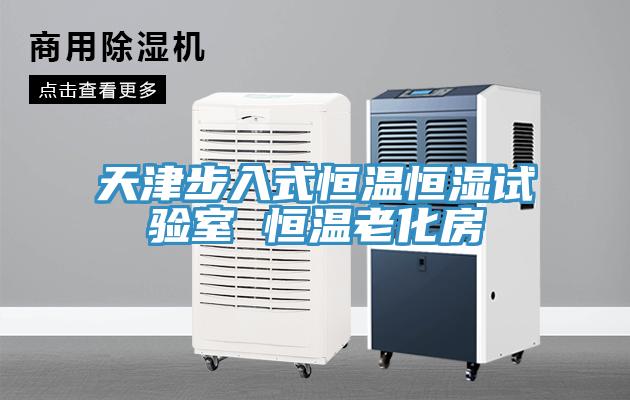 天津步入式恒溫恒濕試驗室 恒溫老化房