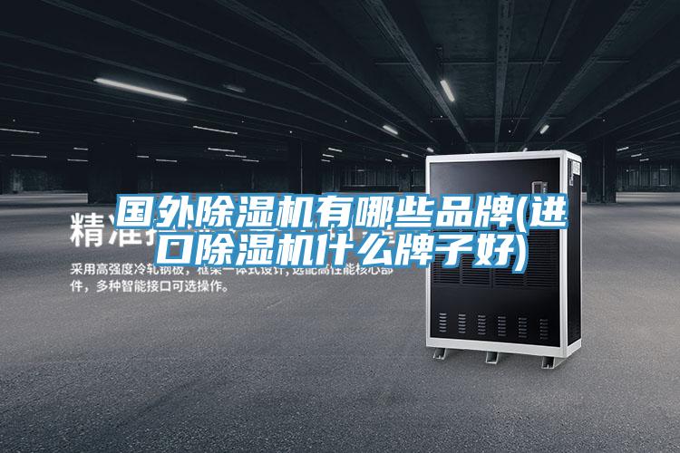 國外除濕機有哪些品牌(進口除濕機什么牌子好)