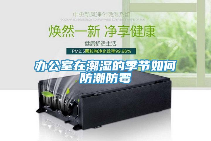 辦公室在潮濕的季節如何防潮防霉