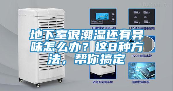 地下室很潮濕還有異味怎么辦？這8種方法，幫你搞定