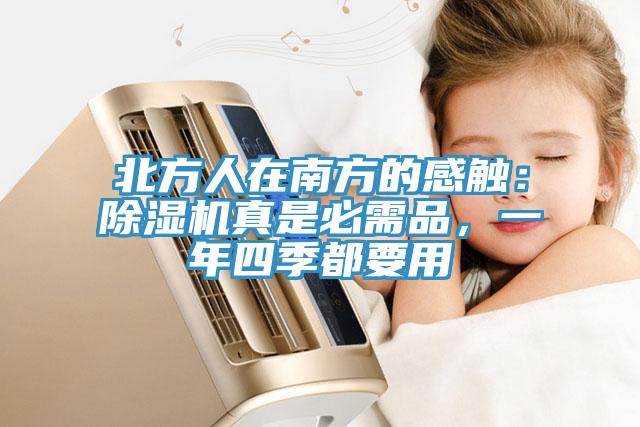 北方人在南方的感觸：除濕機真是必需品，一年四季都要用