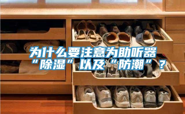 為什么要注意為助聽器“除濕”以及“防潮”？