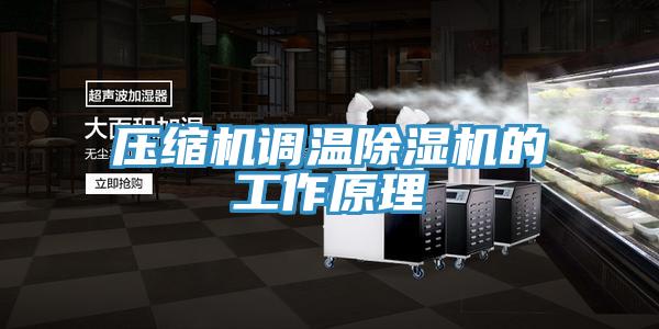 壓縮機調溫除濕機的工作原理