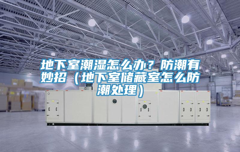 地下室潮濕怎么辦？防潮有妙招（地下室儲藏室怎么防潮處理）