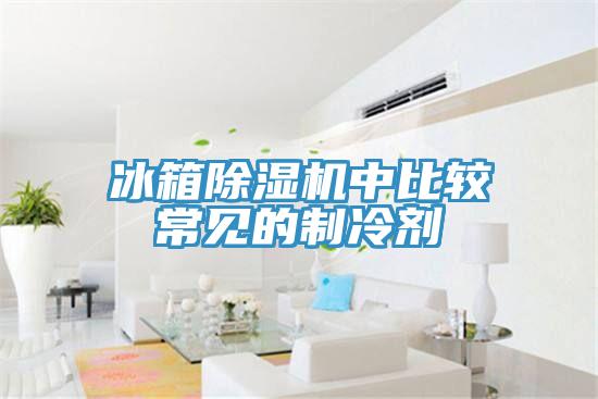 冰箱除濕機中比較常見的制冷劑