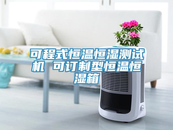 可程式恒溫恒濕測試機 可訂制型恒溫恒濕箱