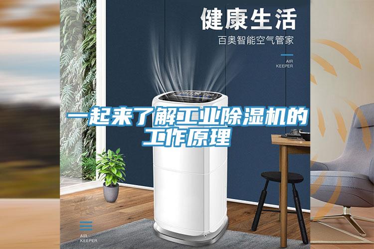 一起來了解工業除濕機的工作原理