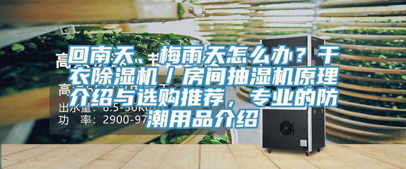 回南天、梅雨天怎么辦？干衣除濕機／房間抽濕機原理介紹與選購推薦，專業的防潮用品介紹