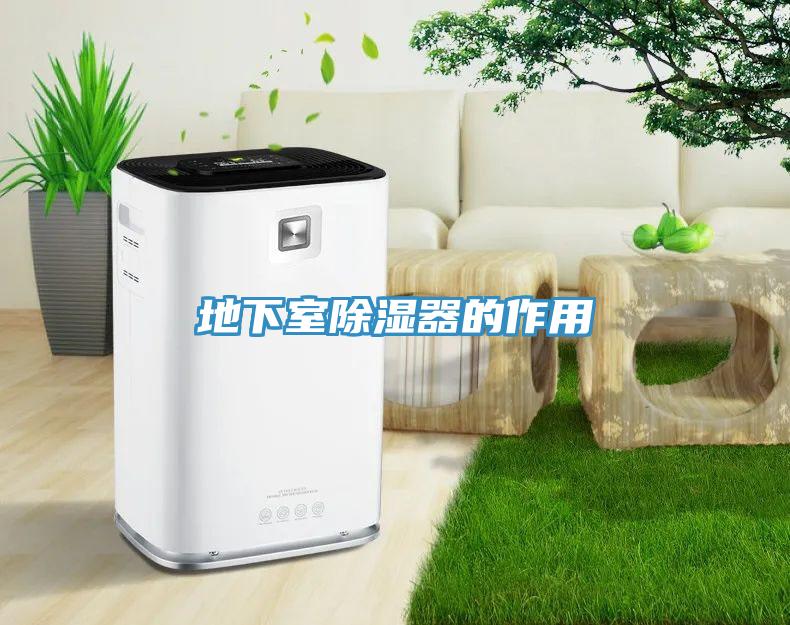 地下室除濕器的作用