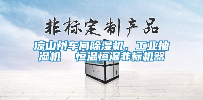 涼山州車間除濕機，工業抽濕機  恒溫恒濕非標機器