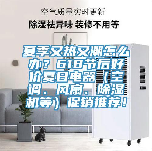夏季又熱又潮怎么辦？618節后好價夏日電器（空調、風扇、除濕機等）促銷推薦！