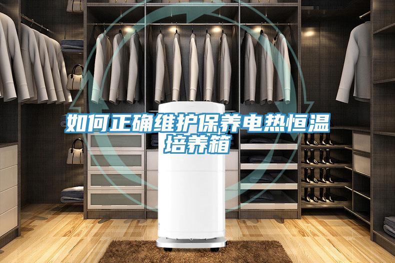 如何正確維護保養電熱恒溫培養箱