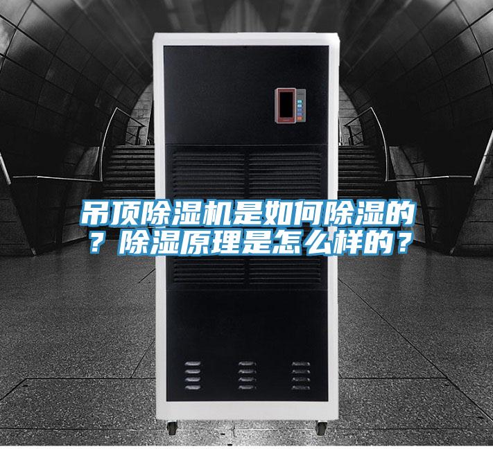 吊頂除濕機是如何除濕的？除濕原理是怎么樣的？