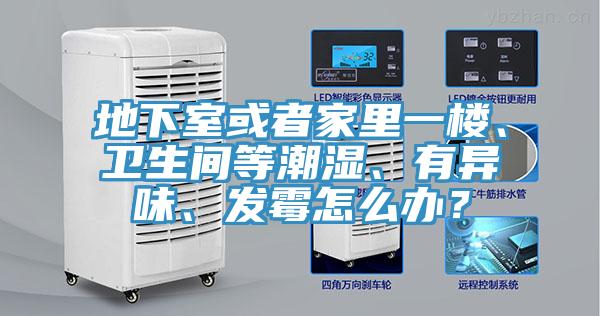 地下室或者家里一樓、衛生間等潮濕、有異味、發霉怎么辦？