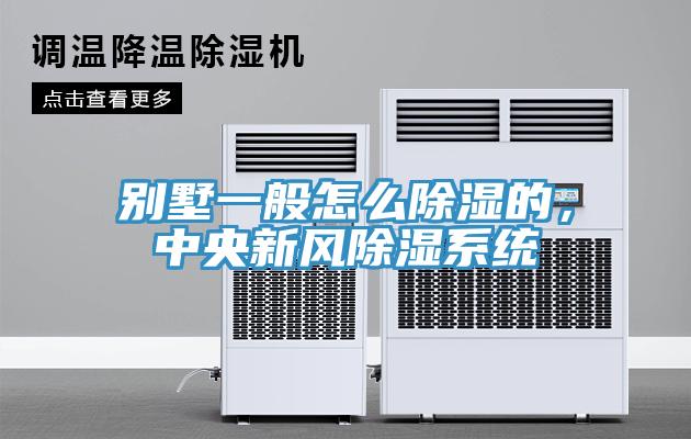 別墅一般怎么除濕的，中央新風除濕系統