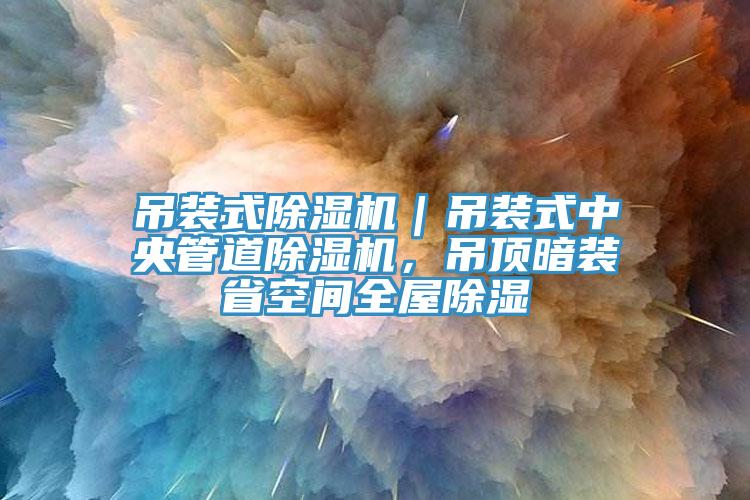 吊裝式除濕機｜吊裝式中央管道除濕機，吊頂暗裝省空間全屋除濕