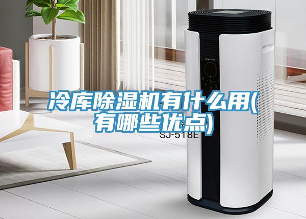 冷庫除濕機有什么用(有哪些優點)