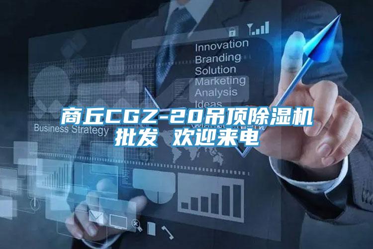 商丘CGZ-20吊頂除濕機批發 歡迎來電